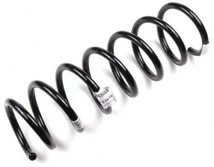 Coil Spring - Rear